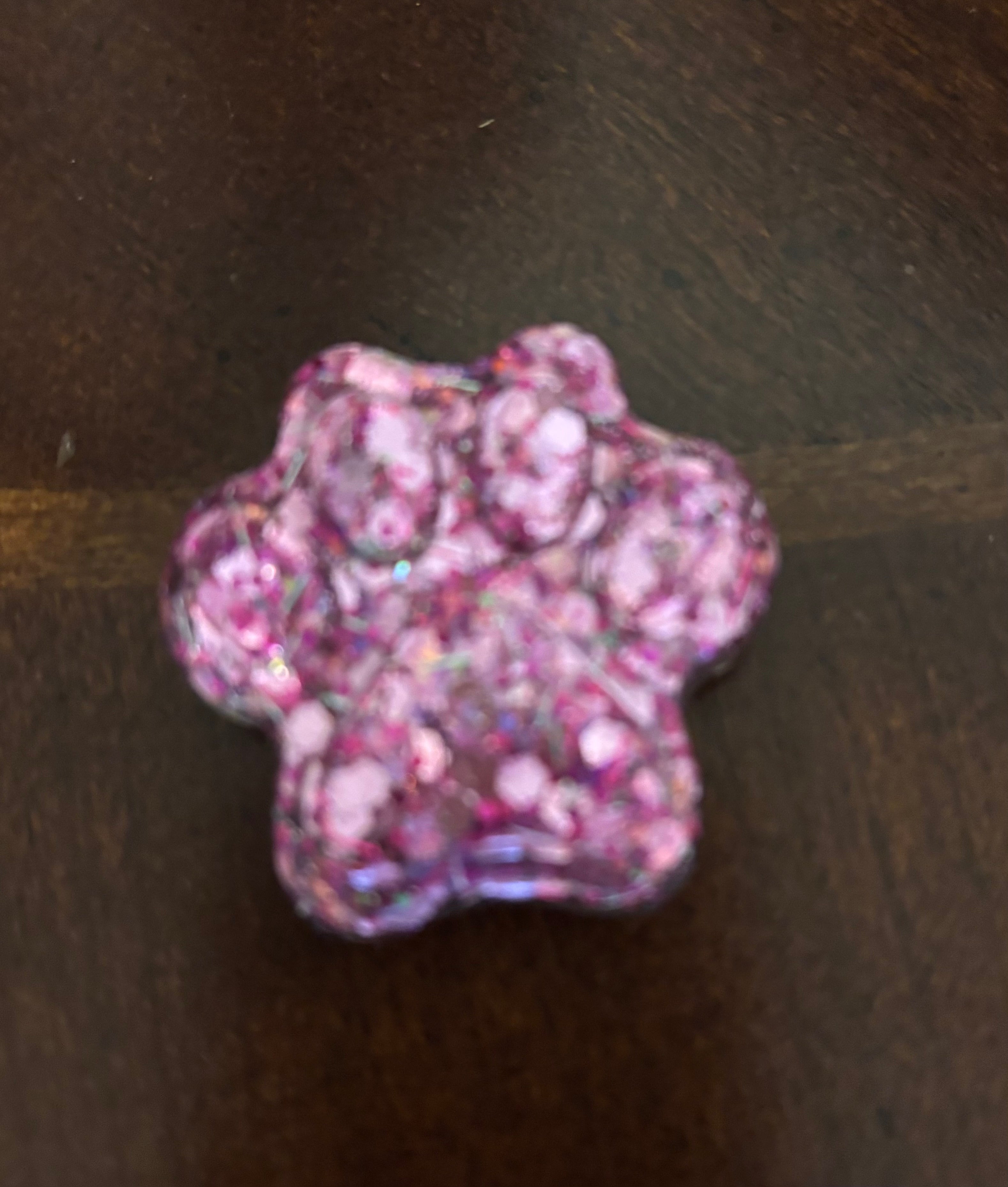 Paw Print Magnet