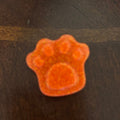 Paw Print Magnet